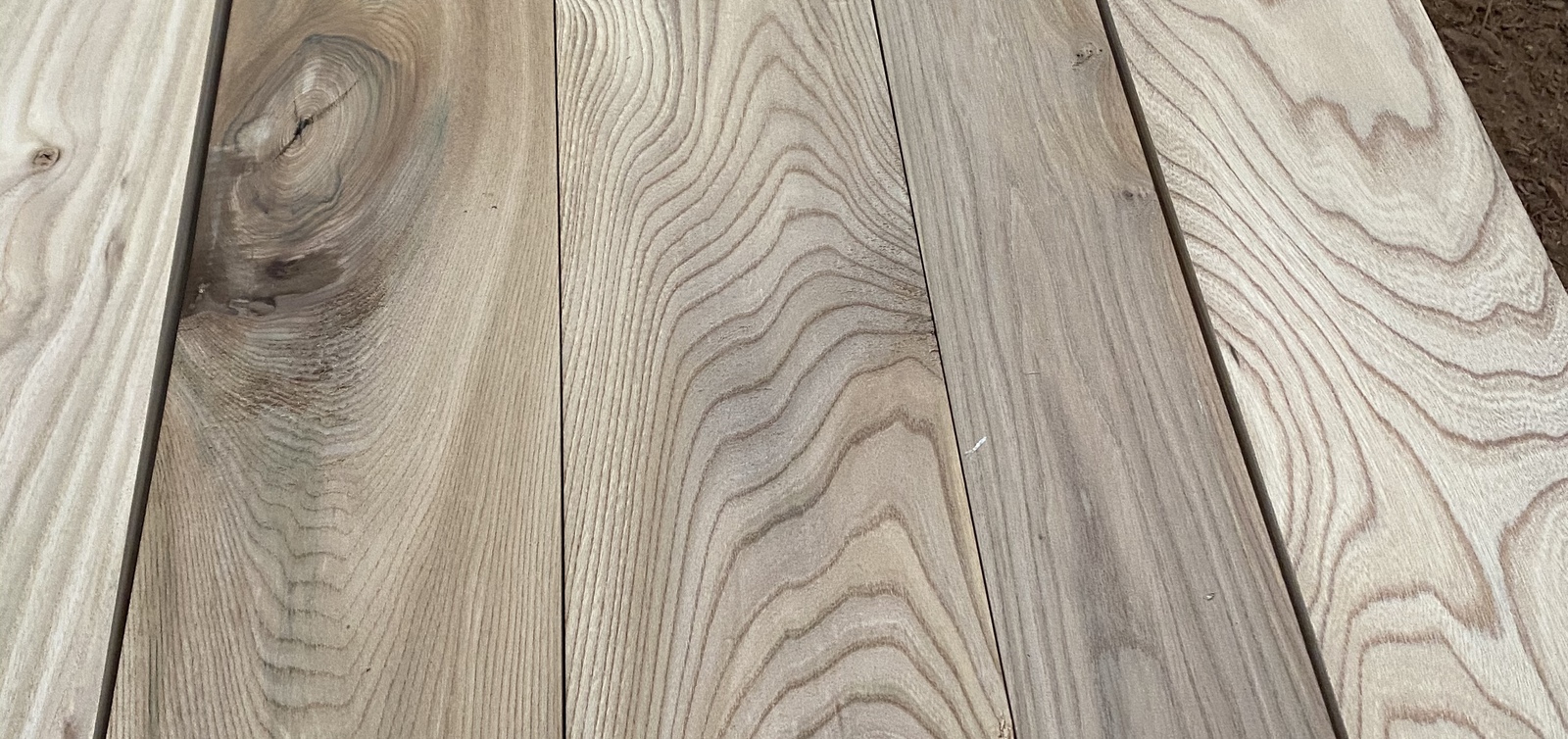 Pack of PAR elm 
