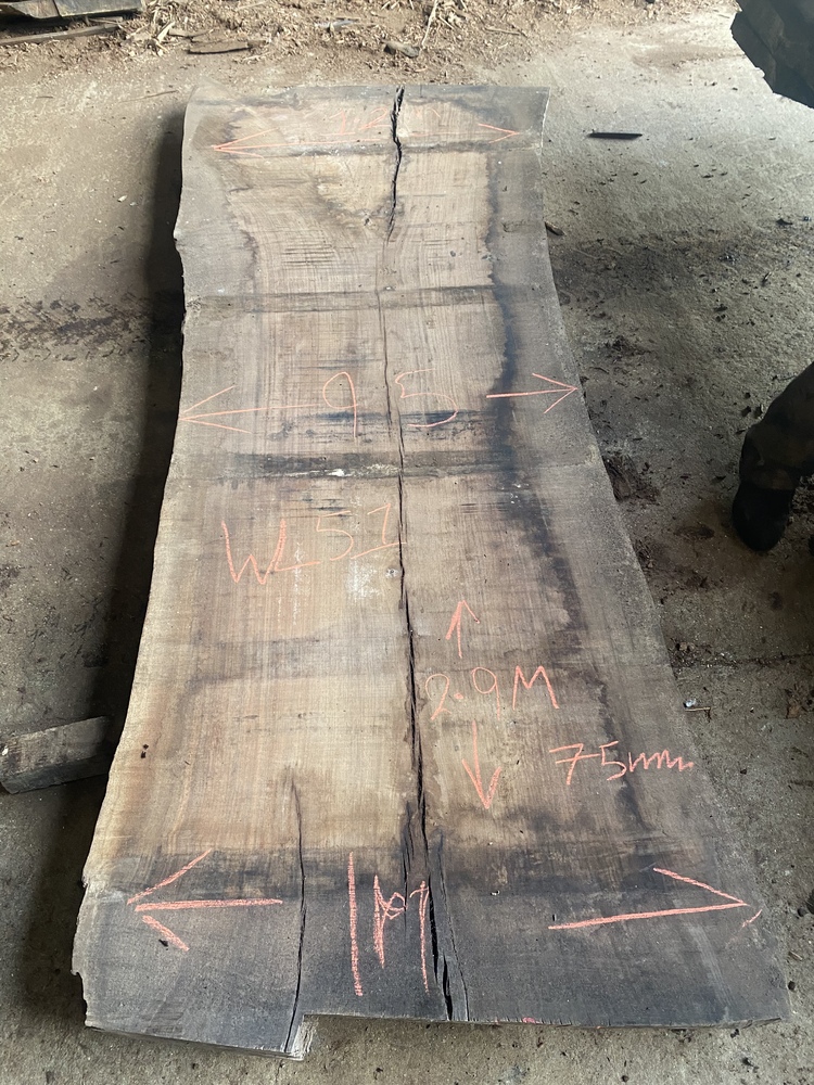 2.9M American Black Walnut Log - Nelson Butler & Son Ltd