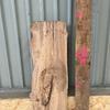 Pippy Elm suitable for high-quality furniture making, table tops, benches, kiln-dried, waney edge