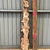 Burr Oak board, suitable for high-quality furniture making, table tops, benches, kiln-dried, with waney edge