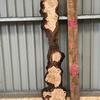 Burr Oak board, suitable for high-quality furniture making, table tops, benches, kiln-dried, with waney edge