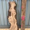 Burr Oak board, suitable for high-quality furniture making, table tops, benches, kiln-dried, with waney edge