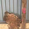 Burr Oak suitable for high-quality furniture making, table tops, benches, kiln-dried, waney edge