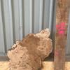 Burr Oak board, suitable for high-quality furniture making, table tops, benches, kiln-dried, with waney edge