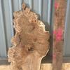 Burr Oak board, suitable for high-quality furniture making, table tops, benches, kiln-dried, with waney edge