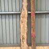 Burr Oak board, suitable for high-quality furniture making, table tops, benches, kiln-dried, with waney edge