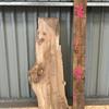 A pippy elm board, suitable for high-quality furniture making, table tops, benches, kiln-dried, with waney edge