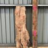 A burr elm board, suitable for high-quality furniture making, table tops, benches, kiln-dried, with waney edge