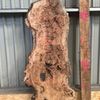 Burr Elm Board suitable for high-quality furniture making, table tops, benches, kiln-dried, waney edge