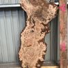 Burr Oak suitable for high-quality furniture making, table tops, benches, kiln-dried, waney edge