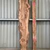 Burr Elm board suitable for high-quality furniture making, table tops, benches, kiln-dried, waney edge