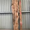 Burr Elm, kiln dried, waney edge board, 