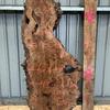 Burr Elm board, suitable for high quality furniture making, table tops, benches, kiln dried, waney edged