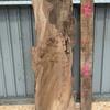 Burr Elm board, suitable for high-quality furniture making, table tops, benches, kiln-dried, waney edge