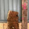 Burr Oak board, suitable for high-quality furniture making, table tops, benches, kiln-dried, waney edge