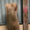 Burr Elm board, suitable for high-quality furniture making, table tops, benches, kiln-dried, waney edge