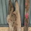 Burr Elm board, suitable for high-quality furniture making, table tops, benches, kiln-dried, waney edge