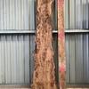 Burr Elm board, suitable for high-quality furniture making, table tops, benches, kiln-dried, waney edge