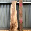 Pippy Elm Burr Elm board, suitable for high-quality furniture making, table tops, benches, kiln-dried, waney edge