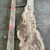 Burr Elm board, suitable for high-quality furniture making, table tops, benches, kiln-dried, waney edge