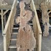 Burr Oak board, suitable for high-quality furniture making, table tops, benches, kiln-dried, waney edge