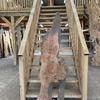 Burr Elm board, suitable for high-quality furniture making, table tops, benches, kiln-dried, waney edge