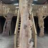 Pippy Elm board suitable for high-quality furniture making, table tops, benches, kiln-dried, waney edge