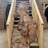 Burr Elm board suitable for high-quality furniture making, table tops, benches, kiln-dried, waney edge