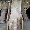 Elm board suitable for high-quality furniture making, table tops, benches, kiln-dried, waney edge